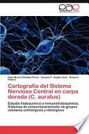 Cartografía Del Sistema Nervioso Central En Carpa Dorada