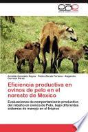 Eficiencia Productiva En Ovinos De Pelo En El Noreste De Mexico