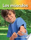 Los Músculos (muscles)
