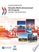 Estudio Multi Dimensional De Uruguay Volumen 1. Evaluación Inicial