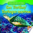 Sea Turtles/tortugas Marinas