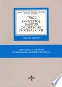 Conceptos Basicos De Derecho Procesal Civil / Basic Concepts Of Civil Procedural Law