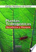 Plantas Transgénicas: Beneficios Y Riesgos