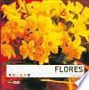 Flores En Casa