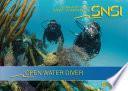 Snsi Open Water Book Spanish