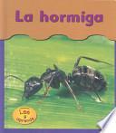 La Hormiga / Ants
