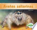 Arañas Saltarinas