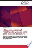¿males Necesarios? Prostitución Y Moral En La Gran Minería Del Cobre