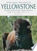 A Pictorial Souvenir Of Yellowstone