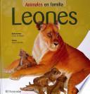 Leones