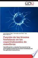 Función De Las Tirosina Fosfatasas En Los Espermatozoides De Mamíferos