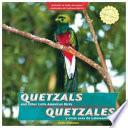 Quetzales Y Otras Aves De Latinoamérica