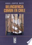 Delincuencia Común En Chile