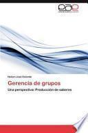 Gerencia De Grupos