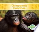 Chimpancés Bonobos (bonobos)