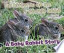 La Historia De Un Conejo Bebé/a Baby Rabbit Story