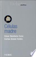Células Madre