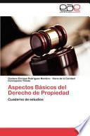 Aspectos Básicos Del Derecho De Propiedad
