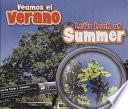 Veamos El Verano/let S Look At Summer