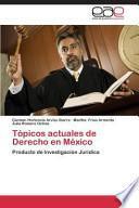Tópicos Actuales De Derecho En México