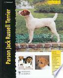 Parson Jack Russell Terrier