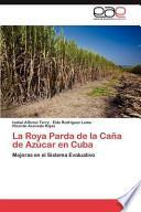 La Roya Parda De La Caña De Azúcar En Cuba