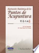 Libro de Ilustración Anatómica De Los Puntos De Acupuntura