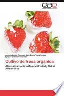 Cultivo De Fresa Orgánic