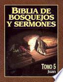 Biblia De Bosquejos Y Sermones Rv 1960 Juan
