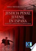 La Justicia Penal Juvenil En España: Legislación Y Jurisprudencia Constitucional