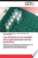Las Lectinas En El Estudio De La Glicosilación De Las Proteínas